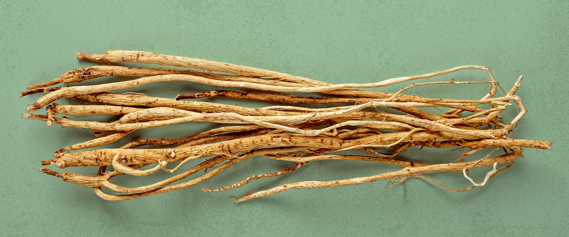 Unlocking the Power of Astragalus: The Most Effective Ways to Take This Ancient Herb