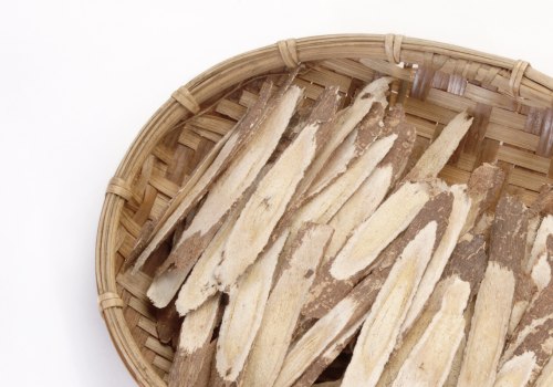 Unlocking the Power of Astragalus: What You Need to Know